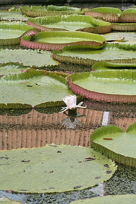 Muang Boran-2007-001